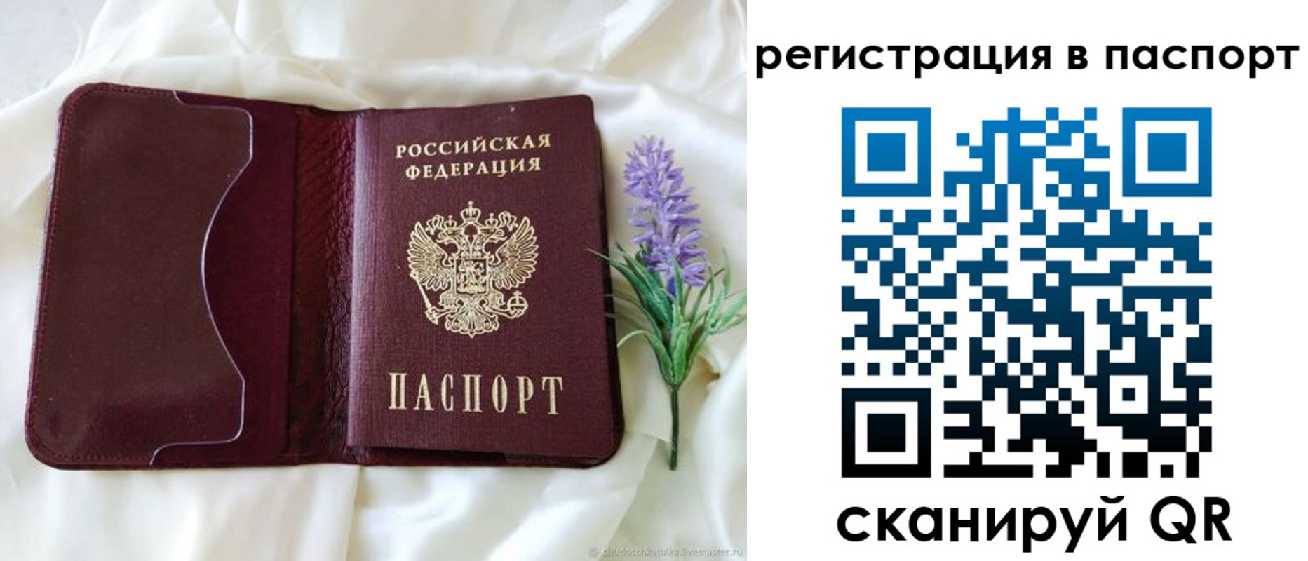 временная регистрация для всех в Рошале